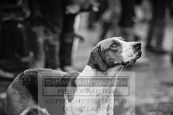 Ludlow 261215-82 bw