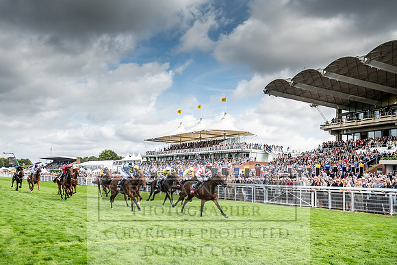 GUK Goodwood Sale 2019-105