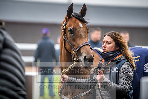 GUK Breeze Up 2018-368