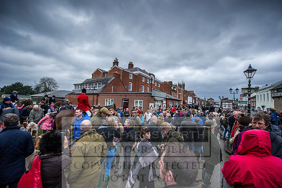 Ludlow 261215-72