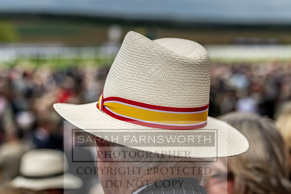 GUK Goodwood Sale 2019-48