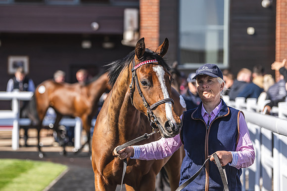 Goffs UK Breeze Up 2022-169