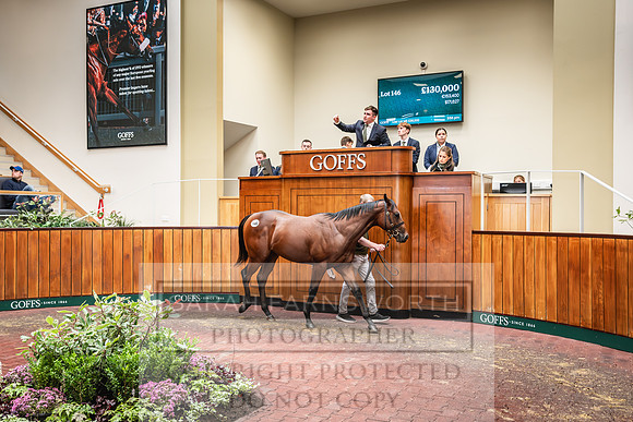Goffs UK PY24-165