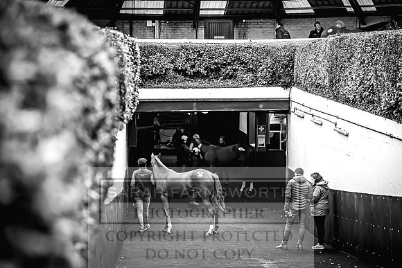 Goffs Orby 2022 Day 1-87