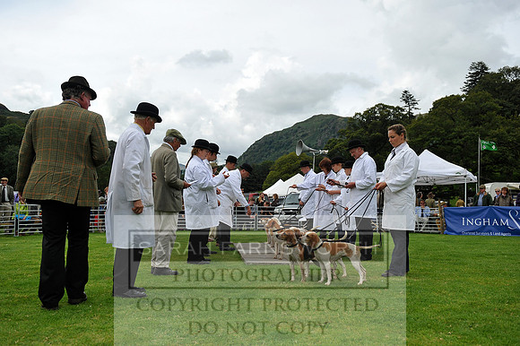 Rydal 2014 CF1 407