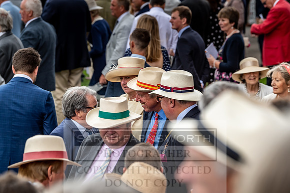 GUK Goodwood Sale 2019-49