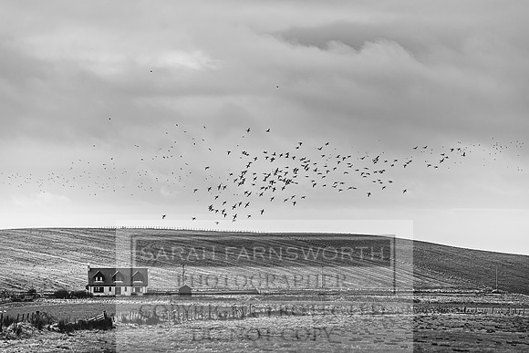Argyll January 2020-35