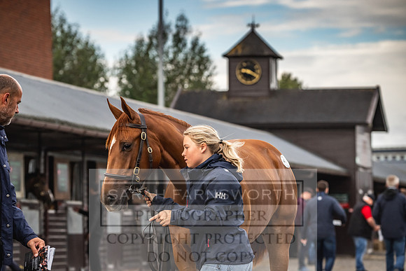 Goffs UK PY24-35