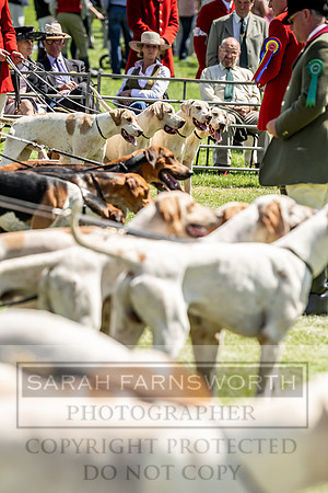 Builth Hound Show 2019-80