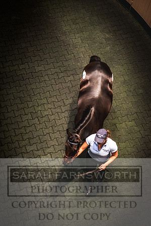 Goffs Orby 2022 Day 1-70