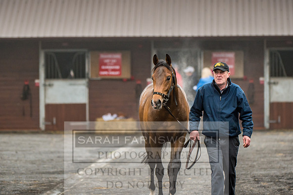 GUK Breeze Up 2018-149