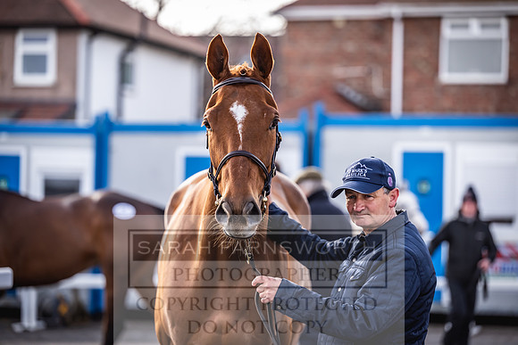 Goffs UK Aintree Sale 2023-4