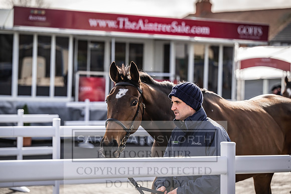 Goffs UK Aintree Sale 2023-1