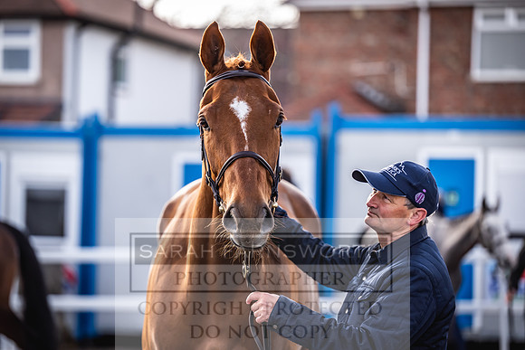 Goffs UK Aintree Sale 2023-5