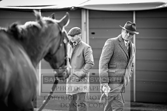 Goffs UK Aintree Sale 2023-2