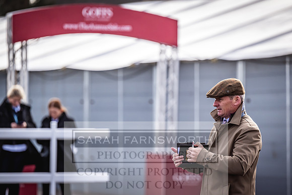 Goffs UK Aintree Sale 2023-6