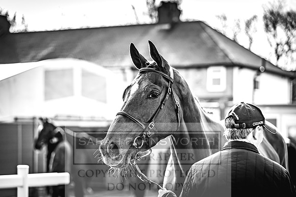 Goffs UK Aintree Sale 2023-7