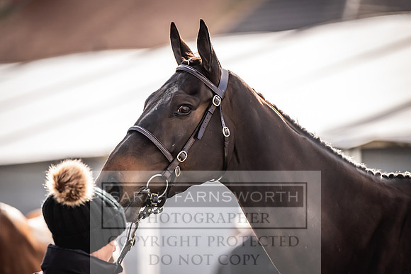 Goffs UK Aintree Sale 2023-10