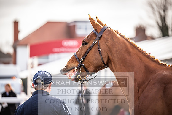 Goffs UK Aintree Sale 2023-12