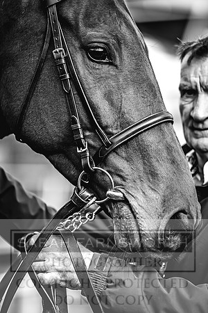 Goffs UK Aintree Sale 2023-18