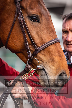 Goffs UK Aintree Sale 2023-19
