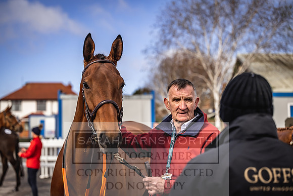 Goffs UK Aintree Sale 2023-21