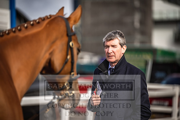 Goffs UK Aintree Sale 2023-23
