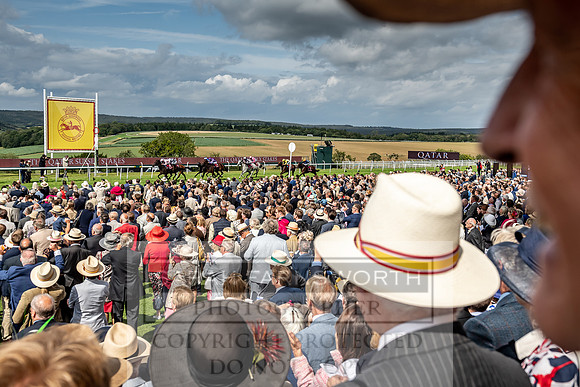 GUK Goodwood Sale 2019-151