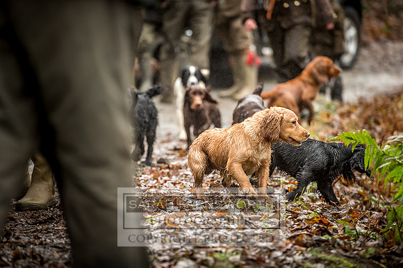 Downton Shoot 01.12.18-261