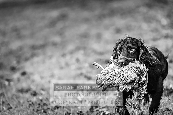 Downton Shoot 01.12.18-664