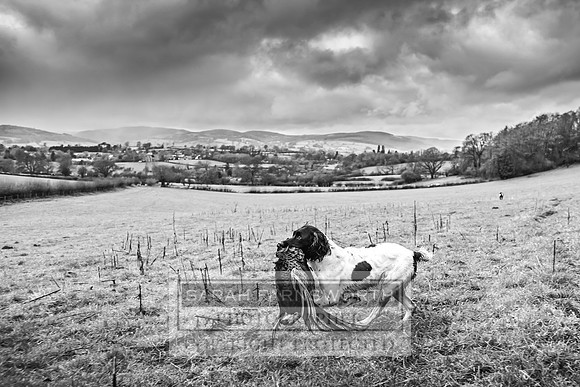 Downton Shoot 01.12.18-767