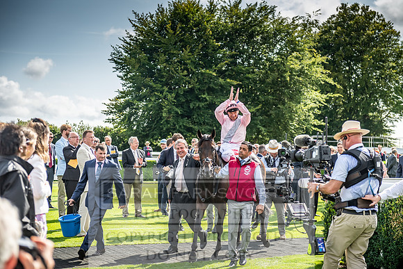 GUK Goodwood Sale 2019-164