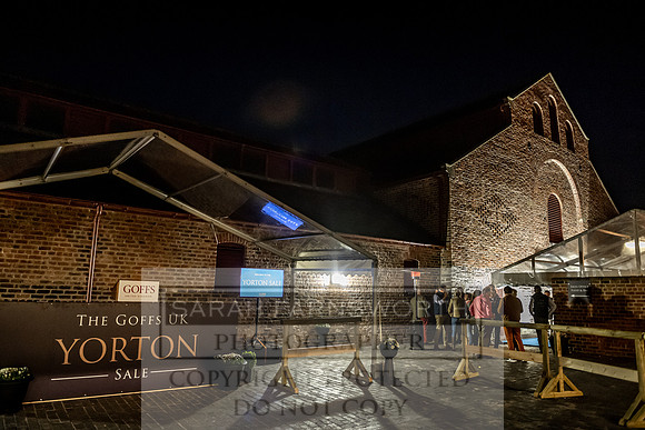 GUK Yorton Sale 2019-64