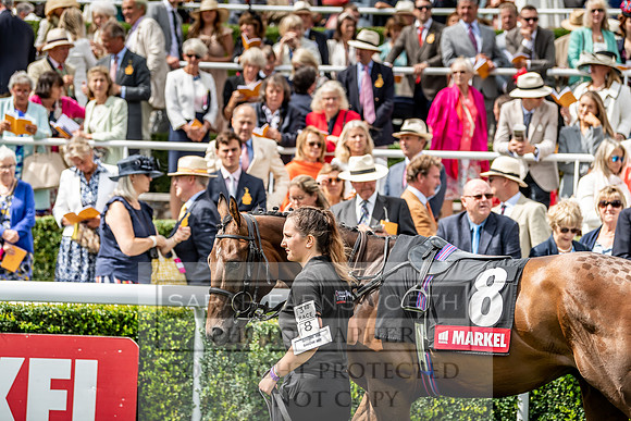 GUK Goodwood Sale 2019-86