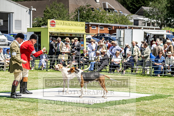 Builth Hound Show 2019-135