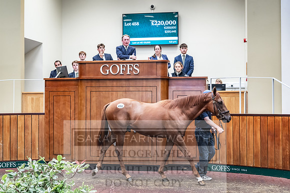 Goffs UK PY24-586