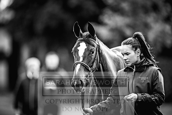 Goffs Orby 2022 Day 1-56