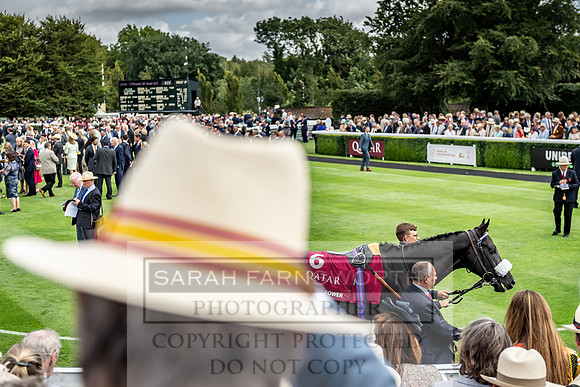 GUK Goodwood Sale 2019-132