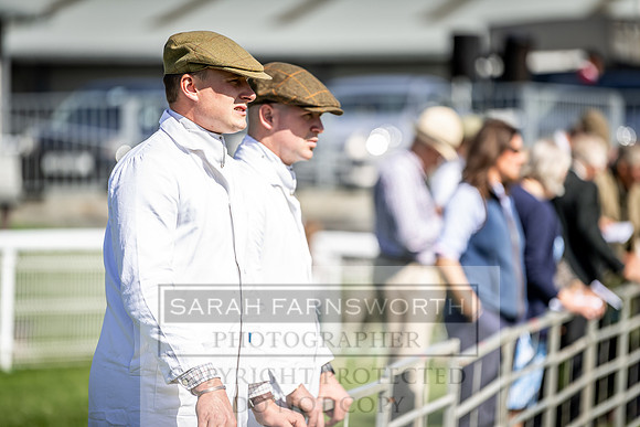 Builth Hound Show 2019-23