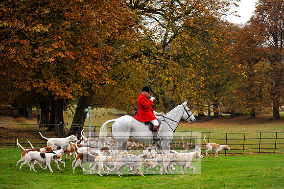 Clare & Neil CF3 1119a