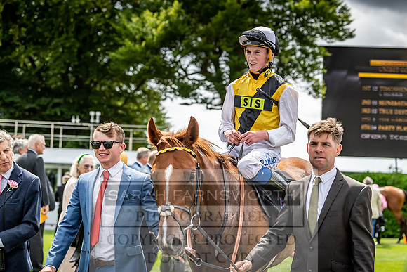 GUK Goodwood Sale 2019-18