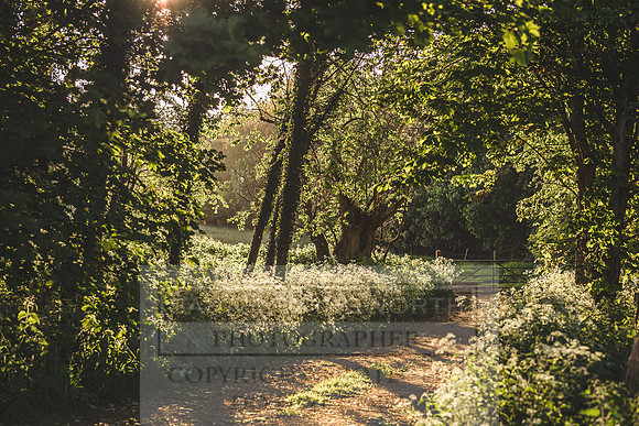 Cotswolds May 2020-9