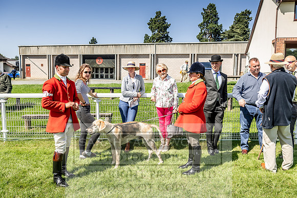 Builth Hound Show 2019-46