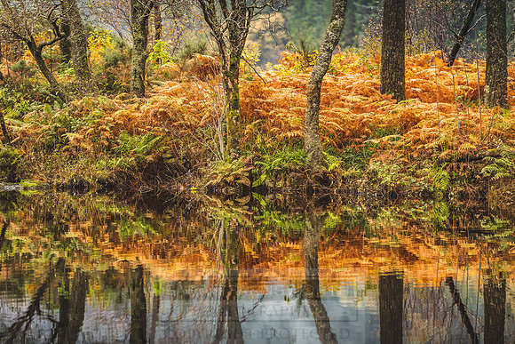 Loch Eck October 2019-3