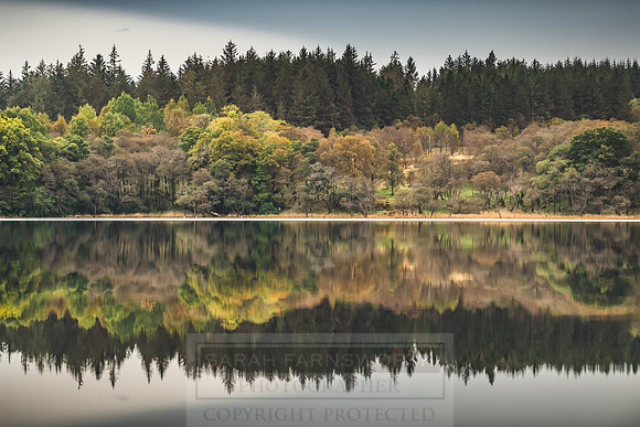 Loch Awe October 2019-32