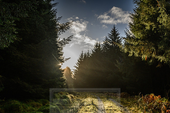 Deer Stalking October 2019-123