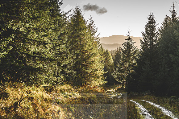 Deer Stalking October 2019-124