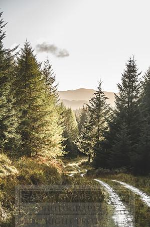 Deer Stalking October 2019-126