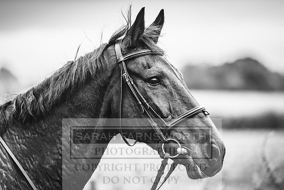 CVFH 121019-117