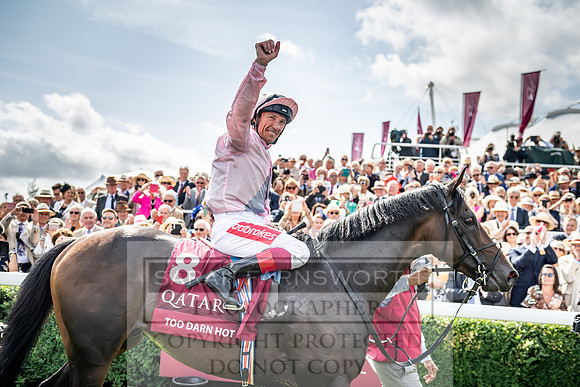GUK Goodwood Sale 2019-174